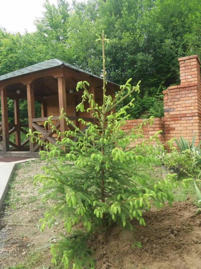 Villa Na Uzlissi Мигово Экстерьер фото